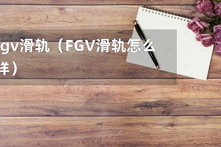 fgv滑轨（FGV滑轨怎么样）